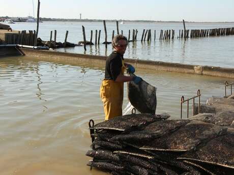 L'Huîtrière de Fromentine