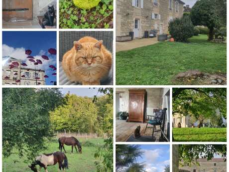 Gîte "Le Jardin des Bosquets"