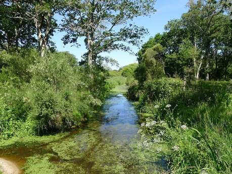 LE COLVERT