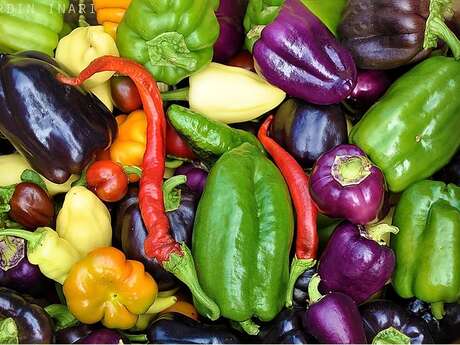 Jardin Inari - David Jouannet