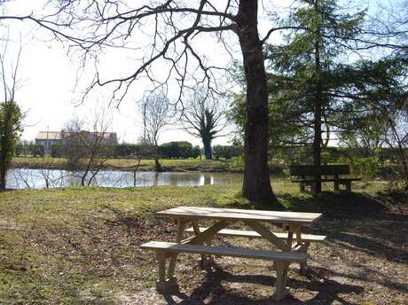 L'étang des Douves à La Regrippière