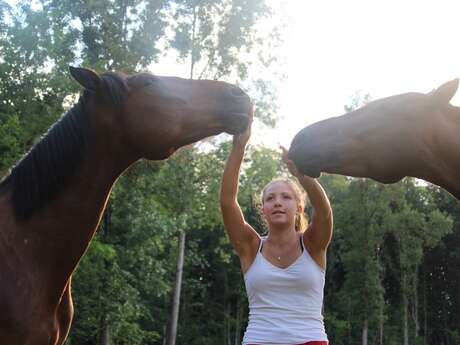 Écurie/Elevage des Rosiers