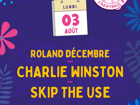 Festival Viens Dans Mon Ile