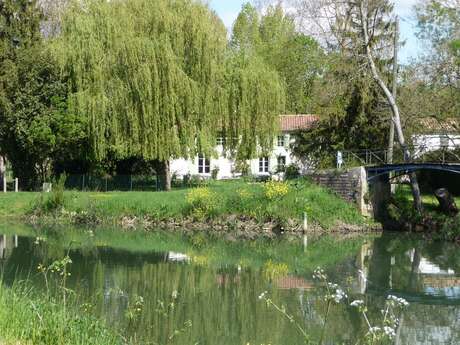 LA MAISON DU MARAIS