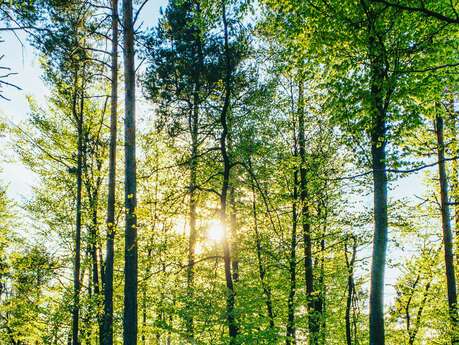 Parc de la Burelière