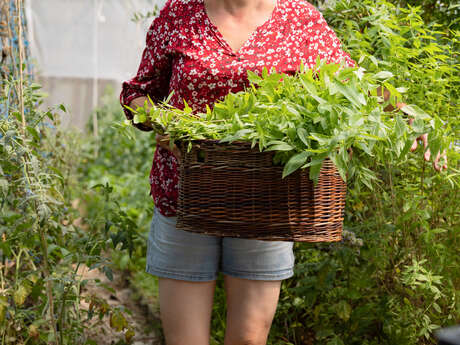 Mon Savoureux Jardin - Isabelle Leroy
