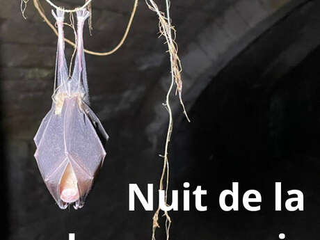 Nuit de la chauve-souris au Moulin des Etrebières - LPO