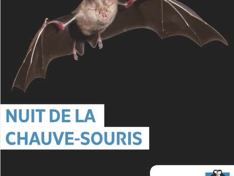 Nuit de la chauve-souris au Moulin des Etrebières - LPO