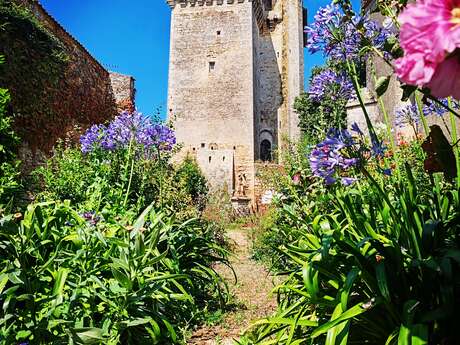 Donjon de Bazoges-en-Pareds - Journées Européennes du Patrimoine