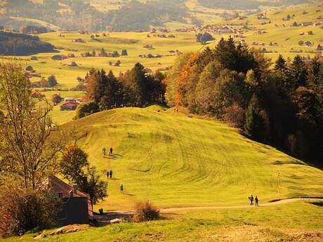 Randonnée pédestre