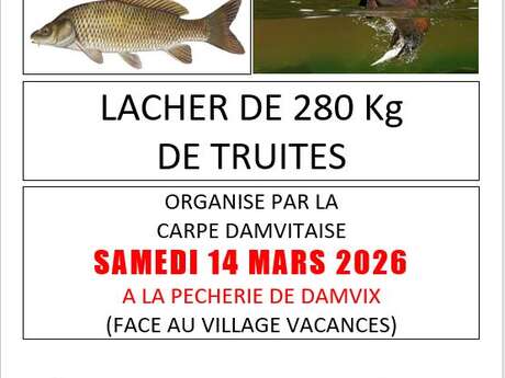 Pêche à la truite