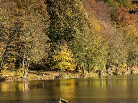 Pêcher dans le plan d'eau du Château de Courtanvaux