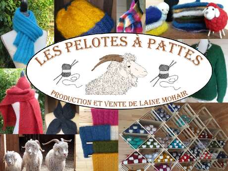 Les Pelotes À Pattes