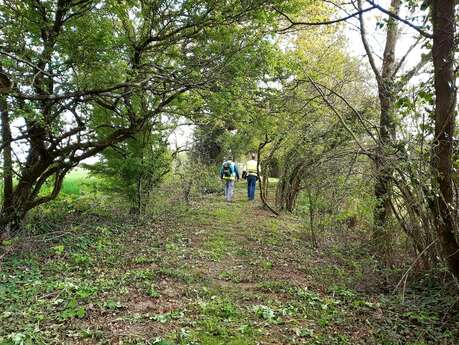 BOUCLE CIRCUIT DES LANDES