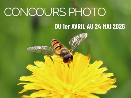 Concours photo : Les pollinisateurs, ces acteurs de notre alimentation - Segré