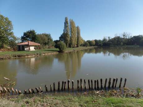 CIRCUIT PÉDESTRE LA COLLINE DES CHÂTAIGNES