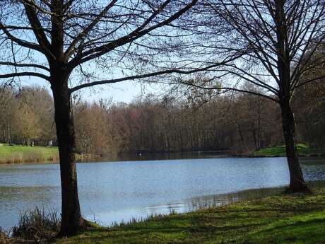 Plan d'eau de Baugé