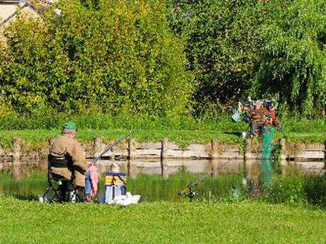 Plan d'eau le Vieil Baugé