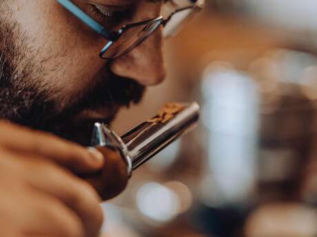 Visites guidées "Dans tous les sens"