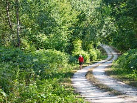 Sentier de Randonnée La Petite Sansonnière à Noyant