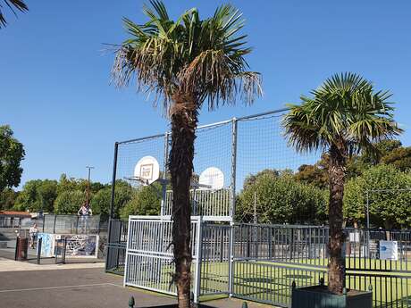 SKATE-PARC & CITY STADE