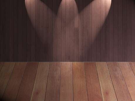 Spectacle théâtral "ELISE ET MOI"