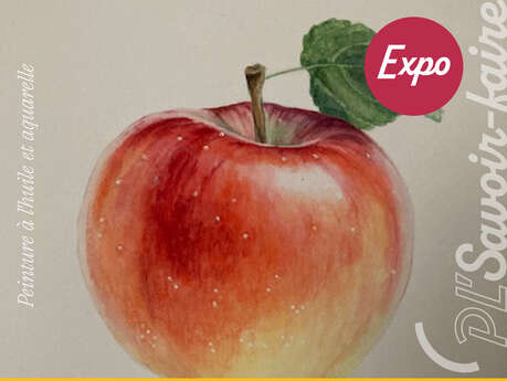Exposition de Sarah Kelly Paine et Carol Roulet