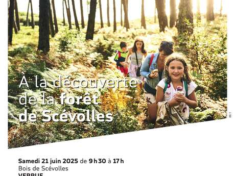 A la découverte de la forêt de Scévolles
