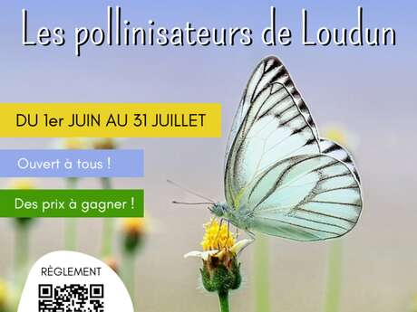 Concours photographique "Les pollinisateurs de Loudun"