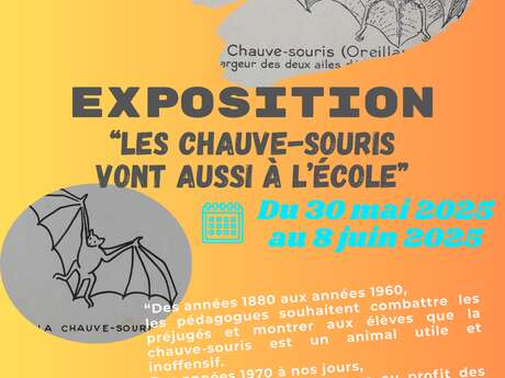 EXPOSITION LES CHAUVE SOURIS VONT AUSSI A L'ECOLE