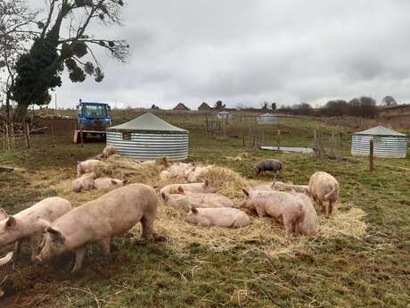 Ferme - Au pré de mon arbre