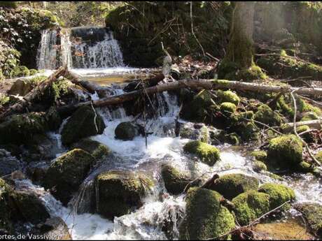 Le ruisseau des moulins