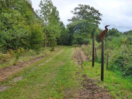 Le chemin du Héron au départ de Saillat-sur-Vienne