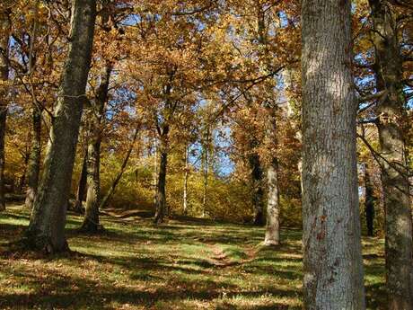 Sentier Le Bois du Curé et des mille Diables