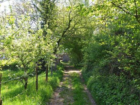 Sentier Entre Puys et Landes