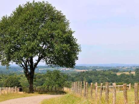 Sentier Les Tupes