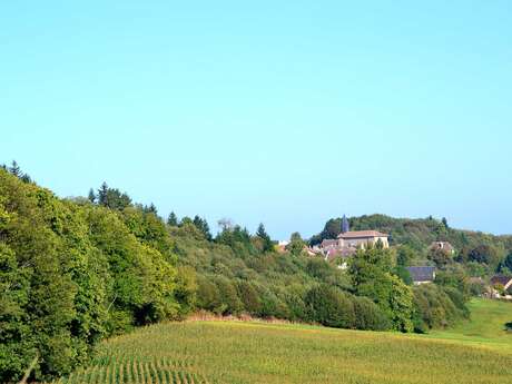 Sur les pas d'Henri de Navarre