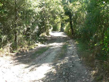 Chemin de la Galache à Lassalle