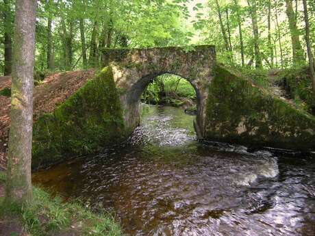 Sentier du Moulin Chabrou