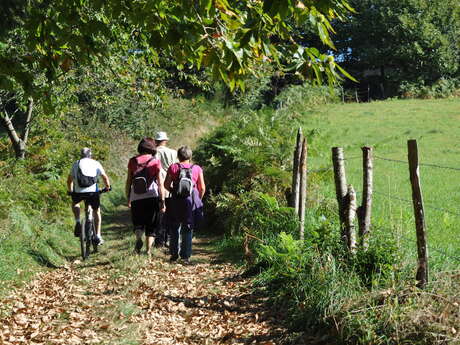 Circuit des Planches