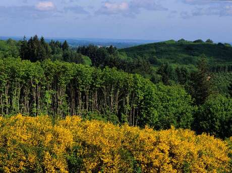 La Grande boucle du Parc Périgord-Limousin