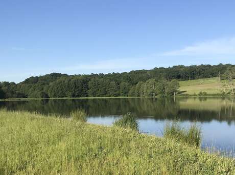 Boucle de Limoges à Saint-Pardoux Coeur de Nature