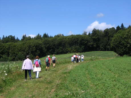 Marche Nordique du Grand Puyconnieux