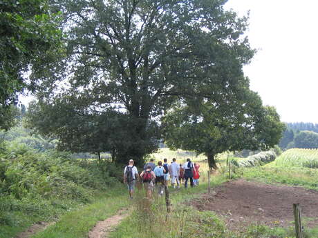 Variante Sentier de Montbrun