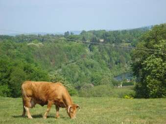 La Ferme du Bas Château