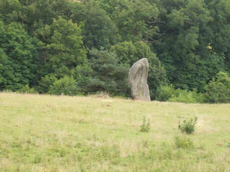 Menhirs du Métayer