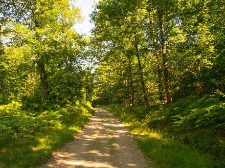 Sentier de la croix du loup