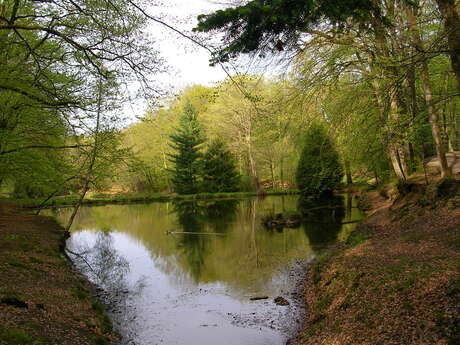 Sentier des étangs