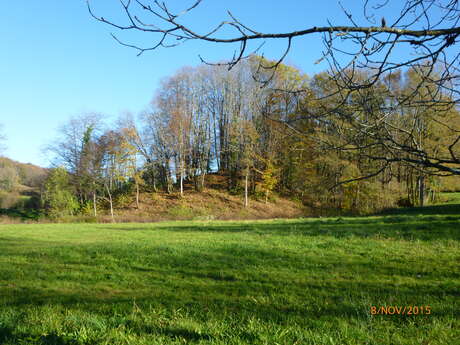 Motte castrale, dit Châteauvieux à La Porcherie