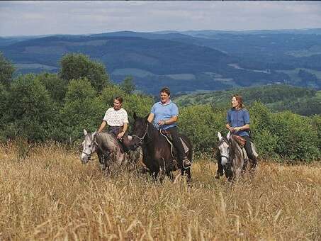 Ferme équestre des Ribières